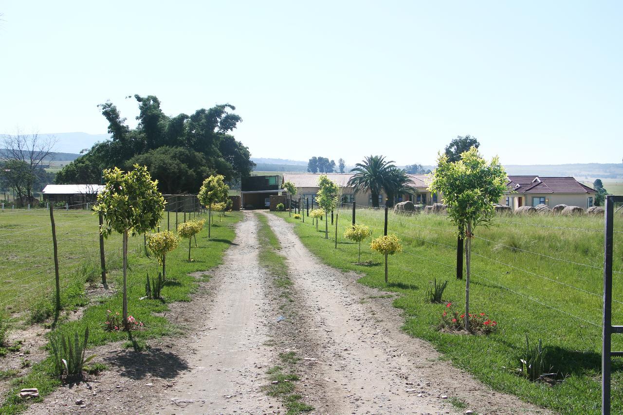 Black Horses Lodge&Conferencing Vryheid Exterior foto